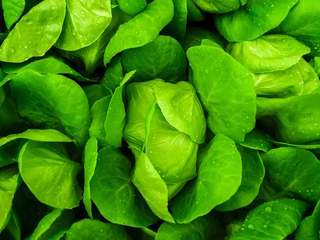 leafy greens eating without gaining weight