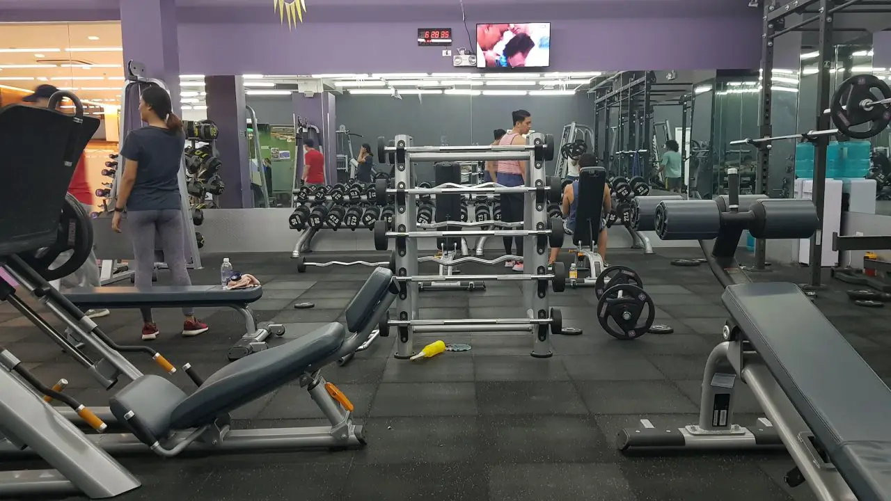 people in gym working out