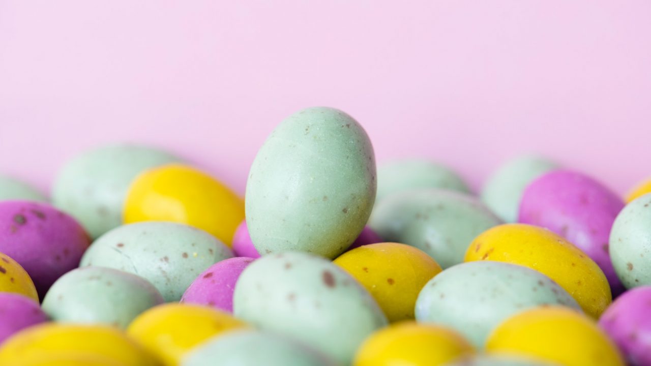 close up colorful eggs