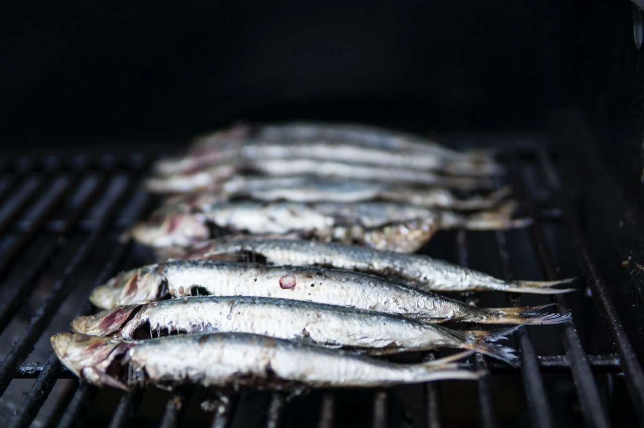 What Are the Best Fish To Eat On a Keto Diet? 