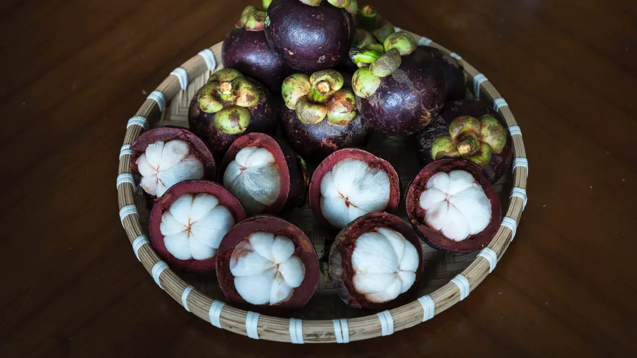 What is Monk Fruit?