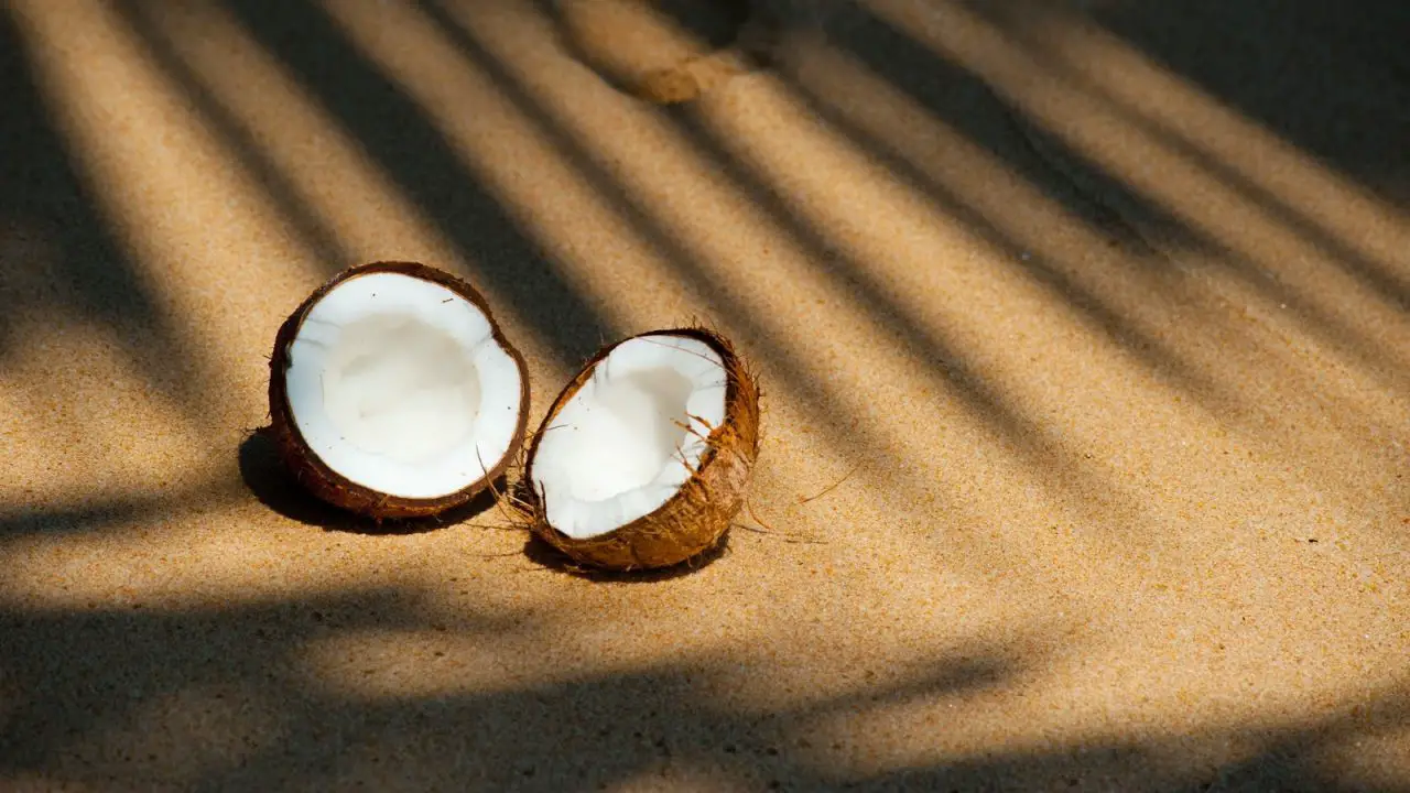 Coconut Flour Nutrition