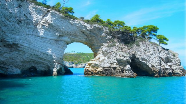 Marine Collagen: The Seas are a Vast Provider