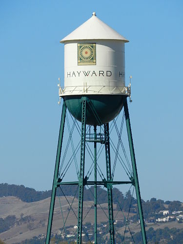 Weight Loss Help in Hayward, CA