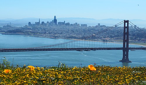 Weight Loss Help in San Francisco, CA