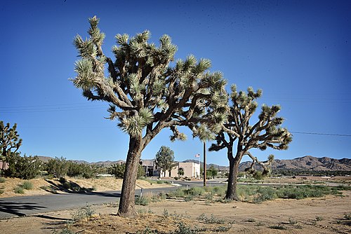 Fitness Classes in Yucca Valley, CA